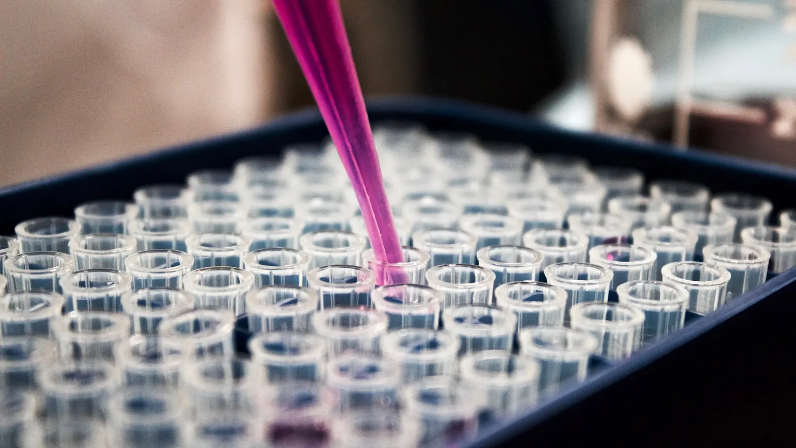 How long is amphetamine (speed) detectable?