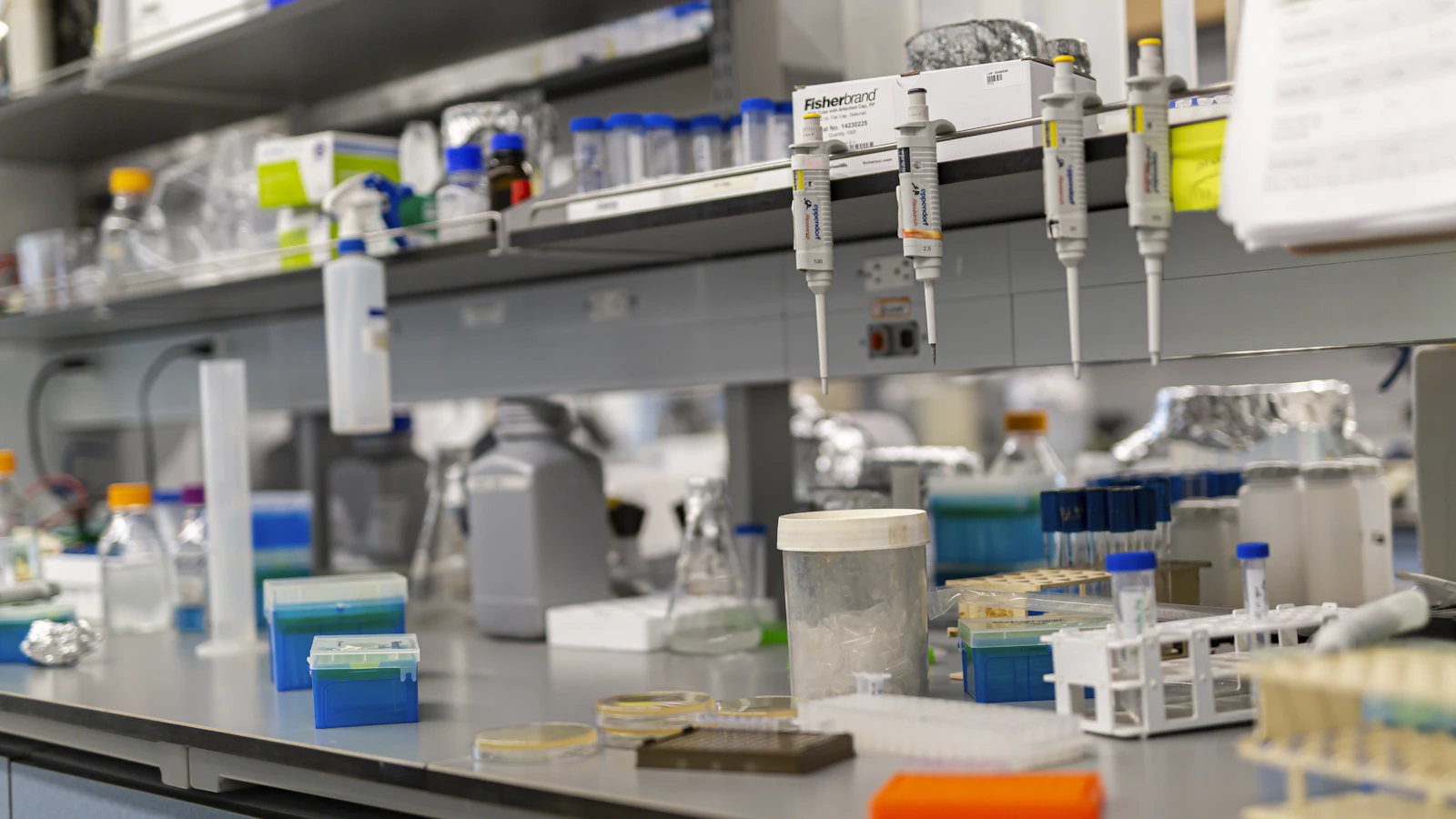 Laboratoriumtafel met pipetten, buisjes en monstermateriaal.