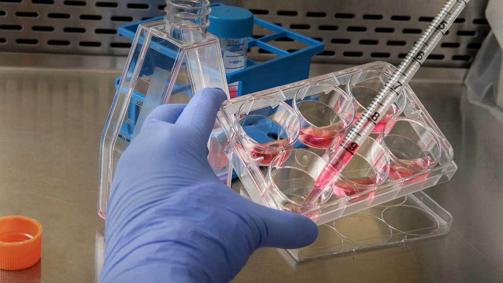 Understanding your drug test result: positive, negative and what the lab does